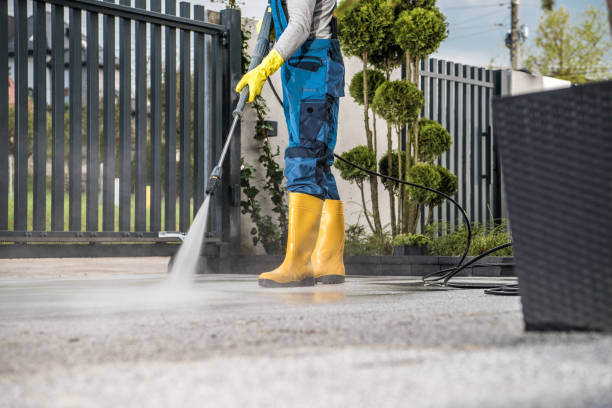 Best Fence Cleaning  in Vado, NM